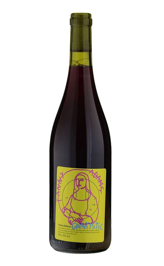 Фанни Адамс Гамэстик 2022 0.75 л фото вино Fanny Adams Gamaystic 2022 0,75 л