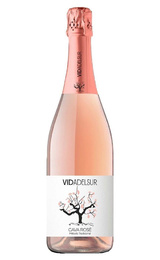 Игристое вино Vidadelsur Brut Rose 0,75 л