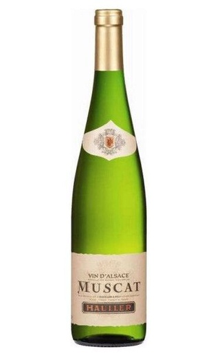 Оллер Мускат 2022 0.75 л фото вино Hauller Muscat 2022 0,75 л