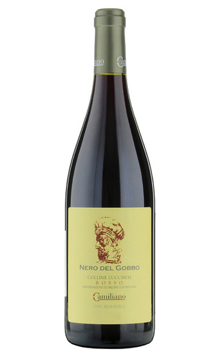 Фаттория Камильяно Неро дель Гоббо Коллине Луккези 2021 0.75 л фото вино Fattoria Camigliano Nero del Gobbo Colline Lucchesi 2021 0,75 л