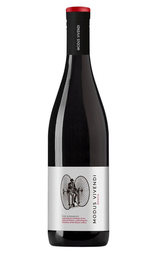 Винья Костейра Модус Вивенди Менсия 2021 0.75 л фото вино Vina Costeira Modus Vivendi Mencia 2021 0,75 л