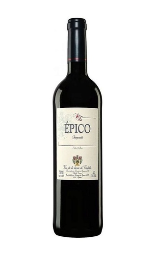Доминио де Эгурен Эпико 2021 0.75 л фото вино Dominio De Eguren Epico 2021 0,75 л