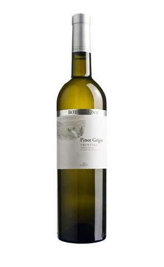 Кавит Боттега Винай Пино Гриджо 2023 0.75 л фото вино Cavit Bottega Vinai Pinot Grigio 2023 0,75 л