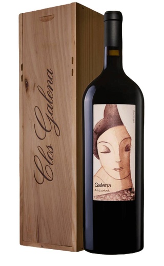 фото вино Domini de la Cartoixa Clos Galena Priorat 2019 1,5 л