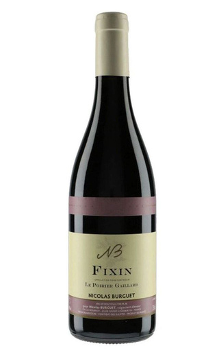 фото вино Domaine Nicolas Burguet Fixin Le Poirier Gaillard 2020 0,75 л