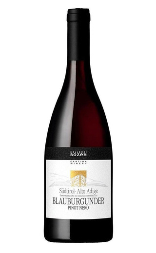 фото вино Bozen Blauburgunder Pinot Nero 2022 0,75 л