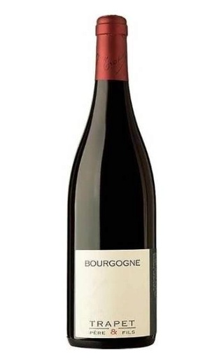 Домен Трапе Пэр э Фис Бургонь Пино Нуар 2018 0.75 л фото вино Domaine Trapet Pere et Fils Bourgogne Pinot Noir 2018 0,75 л