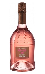 Игристое вино Вилла дельи Олми Просекко Мелизмато Спуманте Экстра Драй