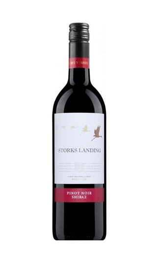 Сторкс Лэндинг Пино Нуар Шираз 2020 0.75 л фото вино Storks Landing Pinot Noir Shiraz 2020 0,75 л