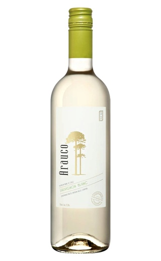фото вино Arauco Sauvignon Blanc 2024 0,75 л