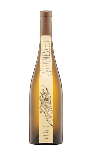 фото вино Weszeli Purus Kamptal Gryuner Veltliner 2020 0,75 л