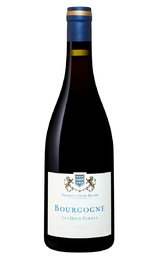 Вино Thibault Liger-Belair Bourgogne Les Deux Terres 2020 0,75 л