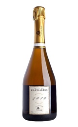 Шампанское De Sousa Grand Cru Cuvee des Caudalies Blanc de Blancs Extra Brut Millesime 2010 0,75 л