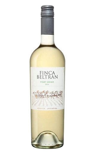 Финка Бельтран Пино Гриджо 2023 0.75 л фото вино Finca Beltran Pinot Grigio 2023 0,75 л