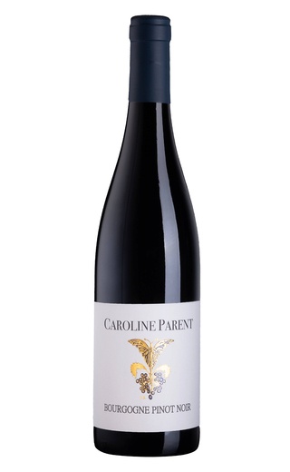 Каролин Паран Бургонь Пино Нуар 2019 0.75 л фото вино Caroline Parent Bourgogne Pinot Noir 2019 0,75 л