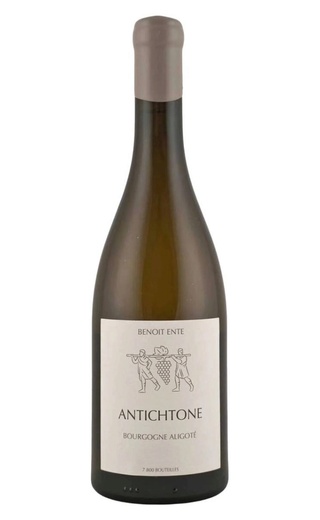 фото вино Domaine Benoit Ente Antichtone Bourgogne Aligote 2021 0,75 л