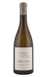 Вино Domaine Benoit Ente Antichtone Bourgogne Aligote 2021 0,75 л