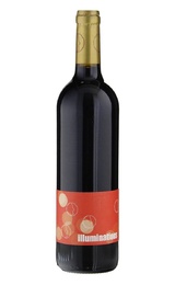 Вино Laurent Herlin Illuminations Bourgueil 2018 0,75 л