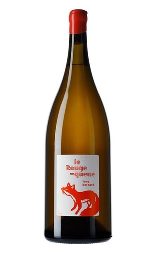 фото вино Tony Bornard Le Rouge queue 2020 1,5 л