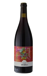 Вино Domaine du Petit Bonhomme Carrousel 2021 0,75 л