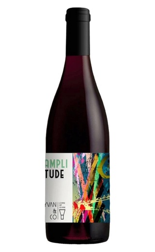Иван и Ко Амплитюд 2020 0.75 л фото вино Yvan & Co Amplitude 2020 0,75 л