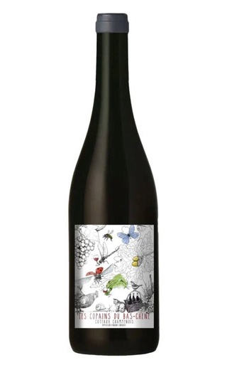 фото вино Aurore & Florian Laval Les Copains du Bas Chene Сoteaux Champenois 2020 0,75 л