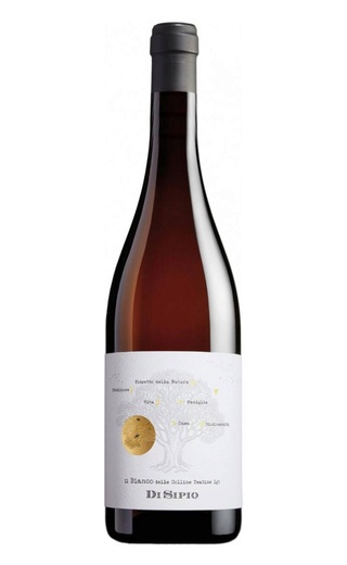 Ди Сипио Коллине Тиатине Бьянко 2022 0.75 л фото вино Di Sipio Colline Teatine Bianco 2022 0,75 л