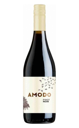 Эноиталия Амодо Пино Нуар 2022 0.75 л фото вино Enoitalia Amodo Pinot Noir 2022 0,75 л