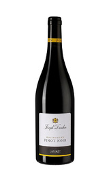Вино Maison Joseph Drouhin Laforet Bourgogne Pinot Noir 2022 0,75 л