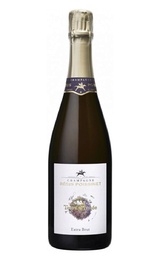 Шампанское Regis Poissinet Terre d'Irizee Extra Brut 2017 1,5 л