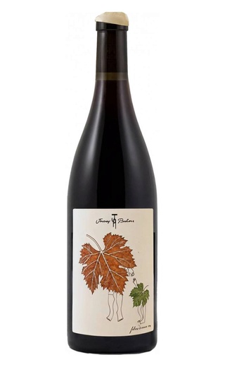 Жереми Реккьоне Кото Бургиньон 2022 0.75 л фото вино Jeremy Recchione Coteaux Bourguignon 2022 0,75 л