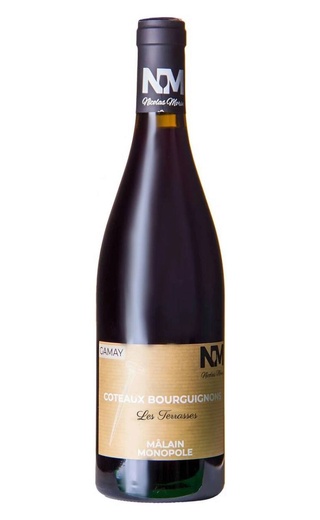 фото вино Maison Nicolas Morin Coteaux Bourguignons Gamay Les Terrasses 2022 0,75 л