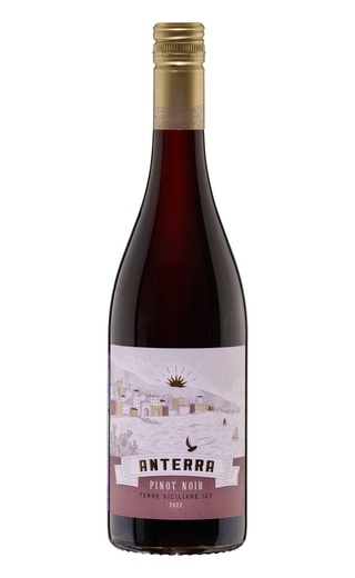 фото вино Anterra Pinot Noir Terre Siciliane 2022 0,75 л