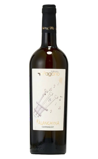 фото вино Fattoria Pagano Falanghina Campania 0,75 л