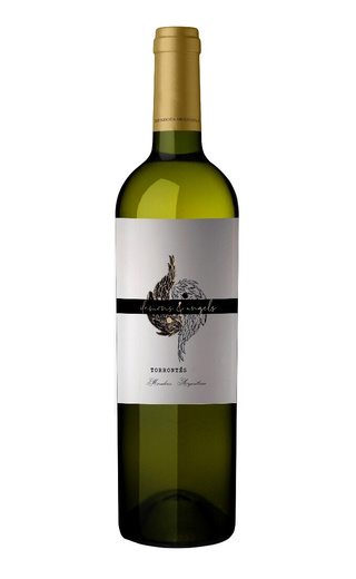 фото вино Demons & Angels Torrontes 2024 0,75 л