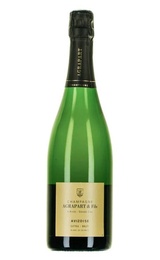 Шампанское Agrapart Avizoise Grand Cru Blanc de Blancs Extra Brut 2009&nbsp;0,75&nbsp;л