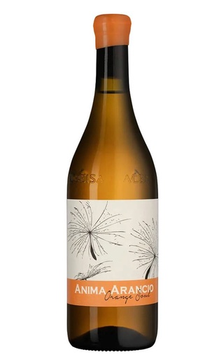 фото вино Giacomo Fenocchio Anima Arancio Orange Soul 2021 0,75 л