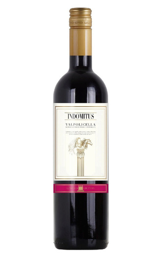 фото вино De Angeli Indomitus Valpolicella 2022 0,75 л