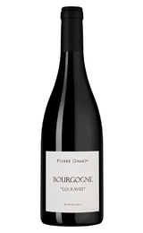Вино Domaine Pierre Damoy Bourgogne Les Ravry Rouge 2019&nbsp;0,75&nbsp;л