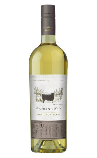 фото вино Le Grand Noir Sauvignon Blanc 2024 0,75 л