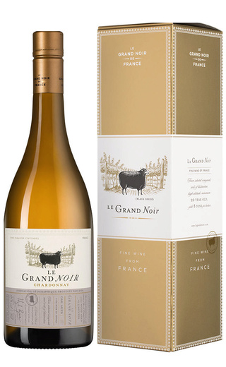 фото вино Le Grand Noir Winemaker’s Selection Chardonnay 2024 0,75 л