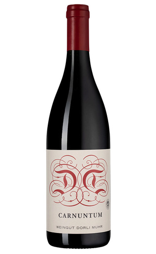фото вино Dorli Muhr Carnuntum 2020 0,75 л
