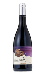 Вино Alsina & Sarda Finca Mas Sallent&nbsp;0,75&nbsp;л