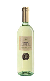 Вино Cantina Viticoltori Meolo Pinot Grigio delle Venezie 2024&nbsp;0,75&nbsp;л