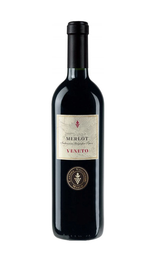 фото вино Cantina Viticoltori Meolo Merlot Veneto 2022 0,75 л