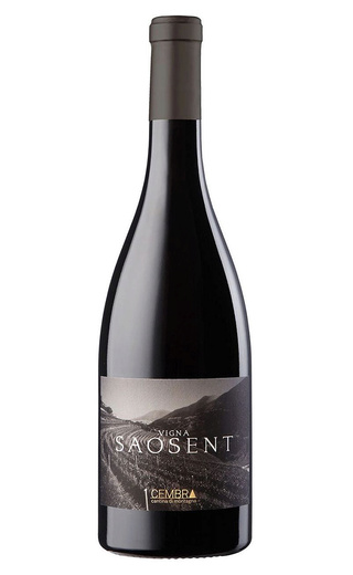 фото вино Cembra Cantina di Montagna Vigna Saosent Pinot Nero 2024 0,75 л