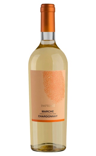 фото вино Velenosi Imprime Chardonnay 2024 0,75 л