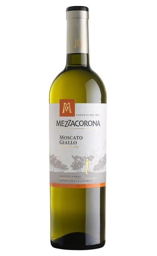 фото вино Mezzacorona Trentino Moscato Giallo 2024 0,75 л