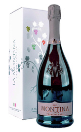 Игристое вино La Montina Franciacorta Brut 2023&nbsp;0,75&nbsp;л