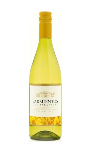 фото вино Tarapaca Sarmientos Chardonnay 2023 0,75 л